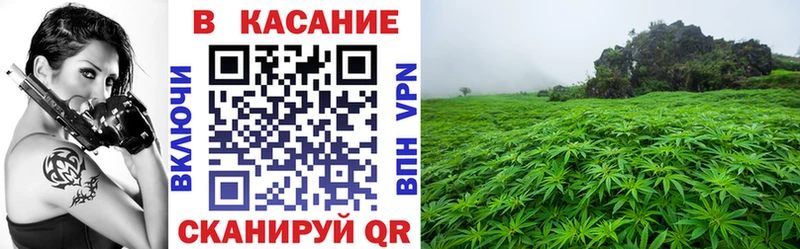 Что такое Никольское Alpha PVP Меф Галлюциногенные грибы Конопля COCAIN Гашиш