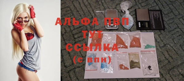 тгк Медногорск